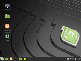Linux mint screenshot